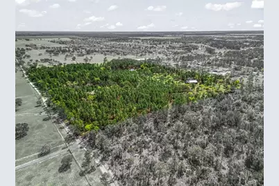 11370 SE 12th Lane, Morriston, FL 32668 - Photo 62