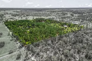 11370 SE 12 Ln, Morriston, FL 32668 - Photo 62