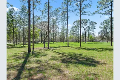 11370 SE 12th Lane, Morriston, FL 32668 - Photo 52