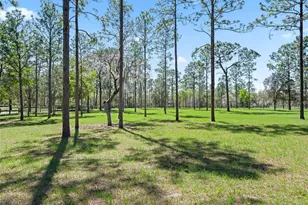 11370 SE 12 Ln, Morriston, FL 32668 - Photo 52