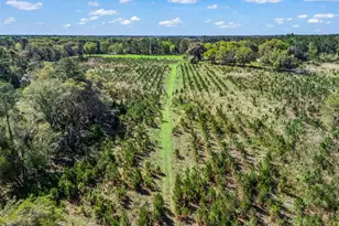 6350 NE 86th Ave, Bronson, FL 32621 - Photo 80