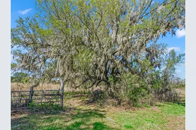 6350 NE 86th Avenue, Bronson, FL 32621 - Photo 78