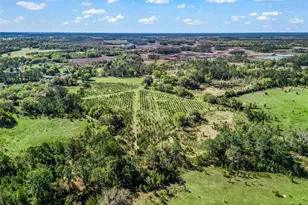 6350 NE 86th Ave, Bronson, FL 32621 - Photo 90