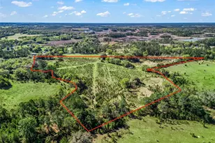 6350 NE 86th Ave, Bronson, FL 32621 - Photo 86