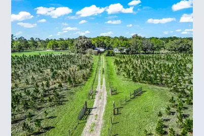 6350 NE 86th Avenue, Bronson, FL 32621 - Photo 6
