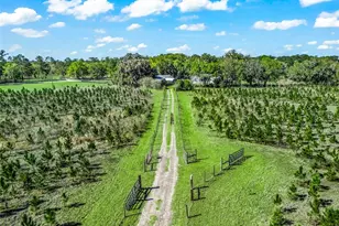 6350 NE 86th Ave, Bronson, FL 32621 - Photo 6