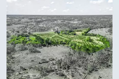 6350 NE 86th Avenue, Bronson, FL 32621 - Photo 88