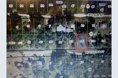 2406 Bluegrass Street, Inverness, FL 34453 - Photo 2