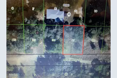 2408 Bluegrass Street, Inverness, FL 34453 - Photo 2