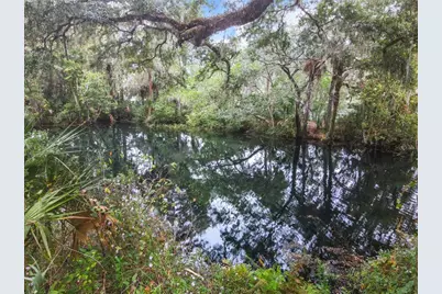 9620 SW 194th Circle, Dunnellon, FL 34432 - Photo 48