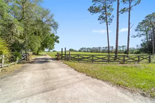 19355 SW 25th Pl, Dunnellon, FL 34431 - Photo 34