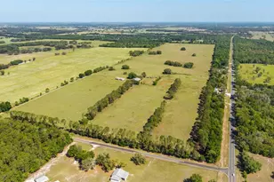 19355 SW 25th Pl, Dunnellon, FL 34431 - Photo 6