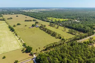 19355 SW 25th Pl, Dunnellon, FL 34431 - Photo 2