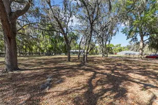 4885 NE 132nd Pl, Anthony, FL 32617 - Photo 38
