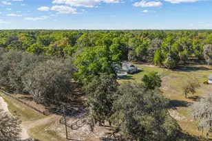 4885 NE 132nd Pl, Anthony, FL 32617 - Photo 40