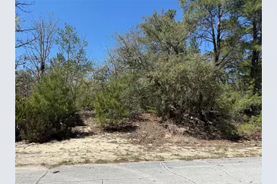 10762 N Moreno Drive, Dunnellon, FL 34433 - Photo 2