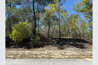 10776 N Moreno Drive, Dunnellon, FL 34433 - Photo 2