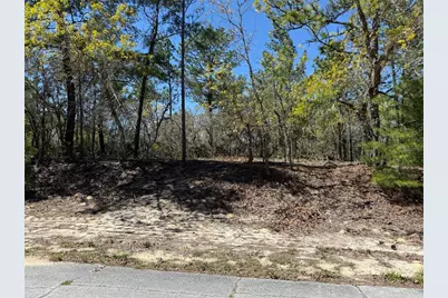 10776 N Moreno Drive, Dunnellon, FL 34433 - Photo 1