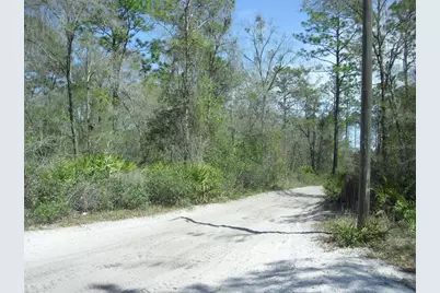 Tract 418 SW 158th Lane, Dunnellon, FL 34432 - Photo 1