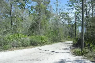 Tract 418 SW 158th Ln, Dunnellon, FL 34432 - Photo 1