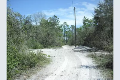 Tract 418 SW 158th Lane, Dunnellon, FL 34432 - Photo 14