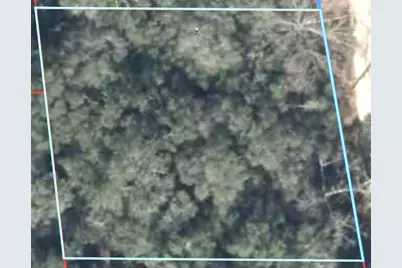 230 SE 194 Terrace, Williston, FL 32696 - Photo 4