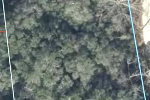 230 SE 194 Terrace, Williston, FL 32696 - Photo 4