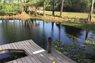 12451 SE 115th Ave, Belleview, FL 34420 - Photo 26