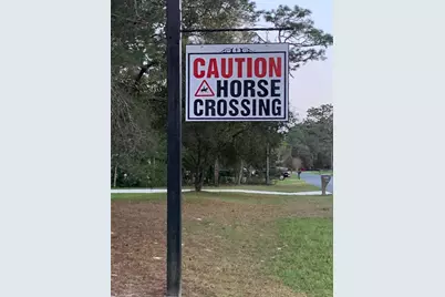 4443 W Prairie Lane, Beverly Hills, FL 34465 - Photo 6