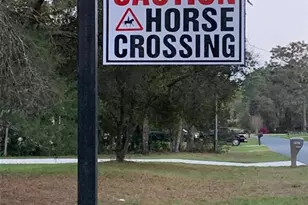 4443 W Prairie Ln, Beverly Hills, FL 34465 - Photo 6