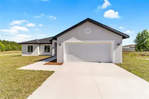 3 Walnut Run, Ocala, FL 34480 - Photo 62