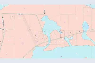 8798 E Highway 318, Citra, FL 32113 - Photo 6