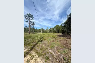 8798 E Highway 318, Citra, FL 32113 - Photo 8