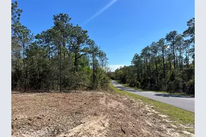 Lot 25 SW Timberlake Road, Dunnellon, FL 34431 - Photo 16