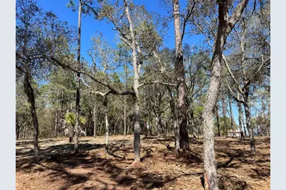 Lot 25 SW Timberlake Road, Dunnellon, FL 34431 - Photo 14