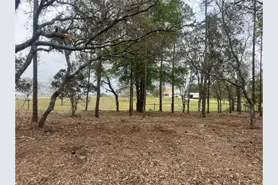 Lot 25 SW Timberlake Road, Dunnellon, FL 34431 - Photo 1