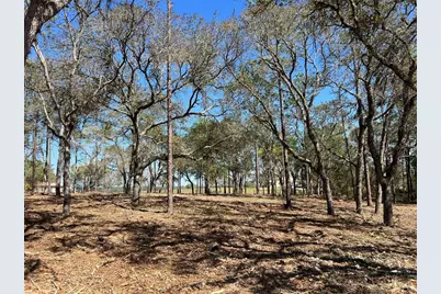 Lot 25 SW Timberlake Road, Dunnellon, FL 34431 - Photo 12