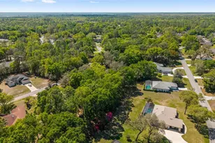 9738 SW 195th Cir, Dunnellon, FL 34432 - Photo 62