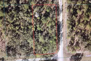 0 SW 89 St, Dunnellon, FL 34432 - Photo 1