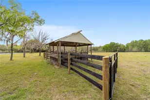16638 N Hwy 329, Reddick, FL 32686 - Photo 134