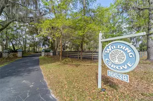 16638 N Hwy 329, Reddick, FL 32686 - Photo 22