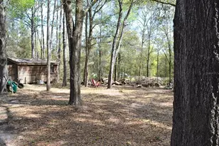 9655 SW 200th Ct, Dunnellon, FL 34431 - Photo 30