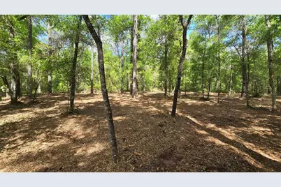 2797 W Grapevine Court, Dunnellon, FL 34433 - Photo 8