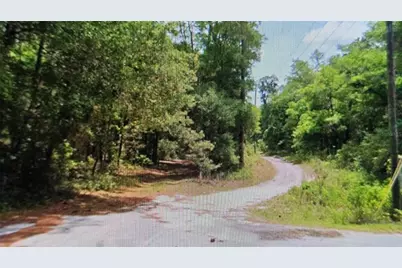 2797 W Grapevine Court, Dunnellon, FL 34433 - Photo 4