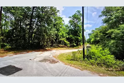 2797 W Grapevine Court, Dunnellon, FL 34433 - Photo 2