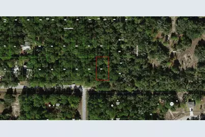 2797 W Grapevine Court, Dunnellon, FL 34433 - Photo 1