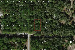 2797 W Grapevine Ct, Dunnellon, FL 34433 - Photo 1