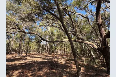 10686 N Ocean Drive, Citrus Springs, FL 34434 - Photo 4