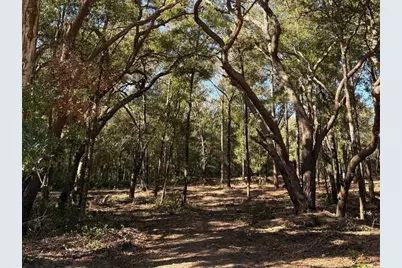 10686 N Ocean Drive, Citrus Springs, FL 34434 - Photo 2