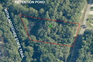 10686 N Ocean Dr, Citrus Springs, FL 34434 - Photo 1